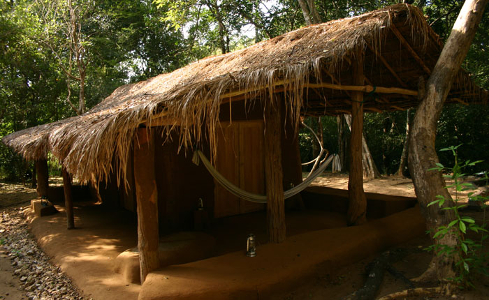 Image - mud hut at tree tops jungle lodge, Sri Lanka