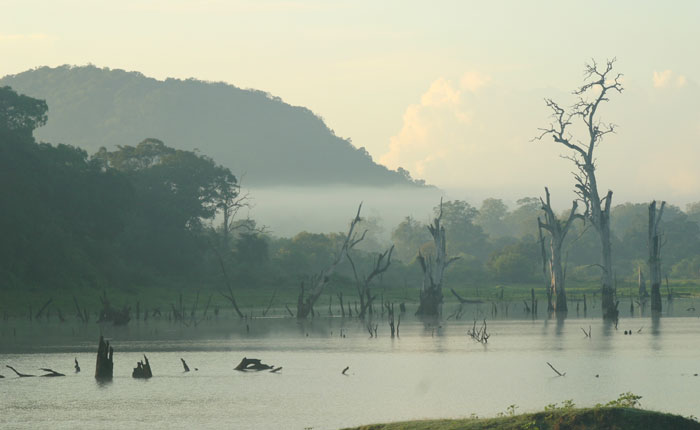 Image - Sri Lanka holidays: Rainforest lake near Tree Tops jungle lodge