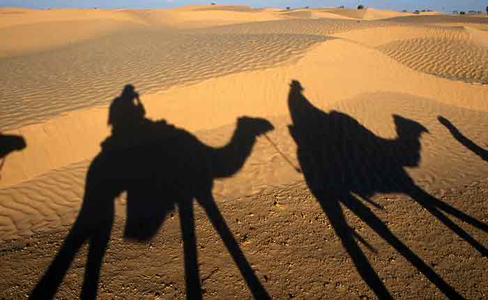 Image: Camel safari in the Sahara
